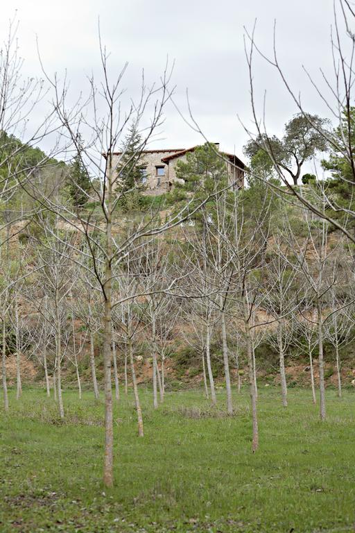 Masia Ca L'Anima Otel La Baronia de Rialb Dış mekan fotoğraf