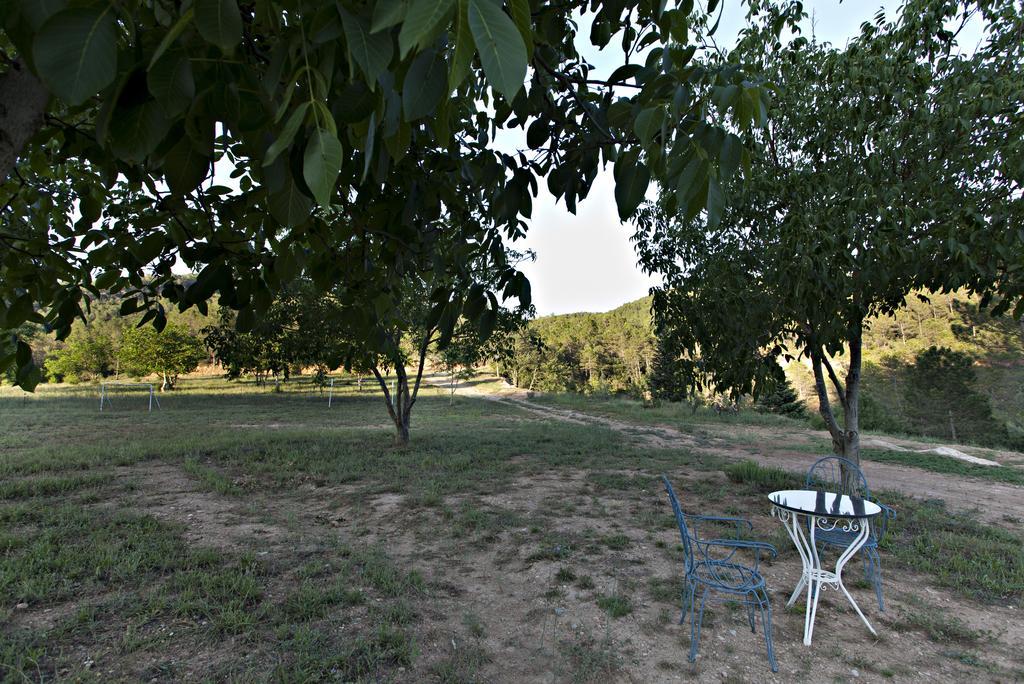 Masia Ca L'Anima Otel La Baronia de Rialb Dış mekan fotoğraf