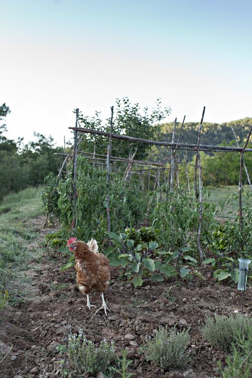 Masia Ca L'Anima Otel La Baronia de Rialb Dış mekan fotoğraf