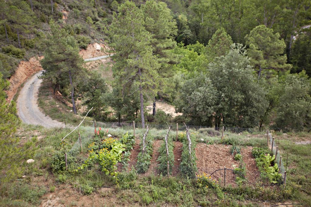 Masia Ca L'Anima Otel La Baronia de Rialb Oda fotoğraf