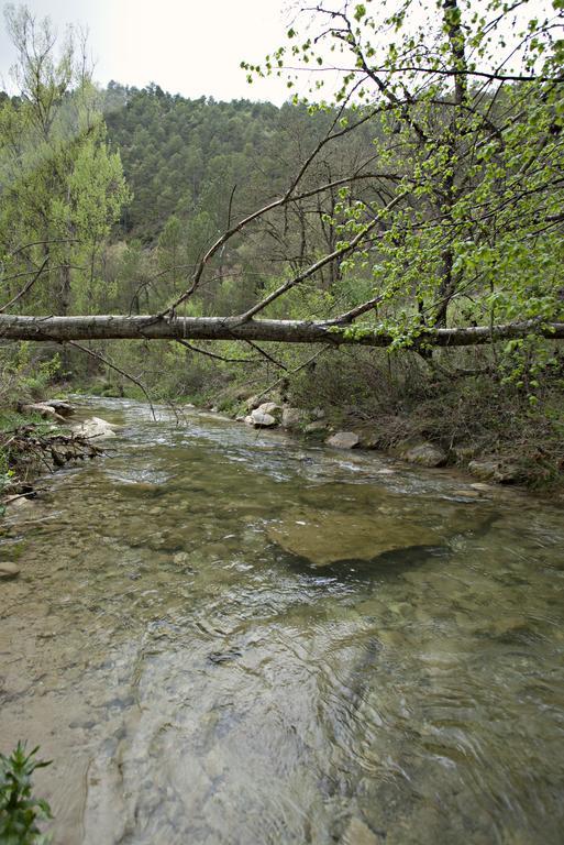 Masia Ca L'Anima Otel La Baronia de Rialb Oda fotoğraf