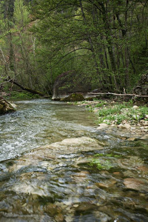 Masia Ca L'Anima Otel La Baronia de Rialb Oda fotoğraf