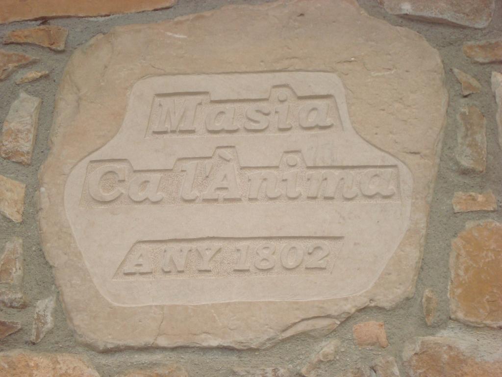 Masia Ca L'Anima Otel La Baronia de Rialb Oda fotoğraf